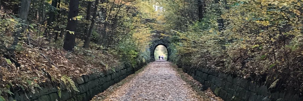 Jimmy Verdone banner