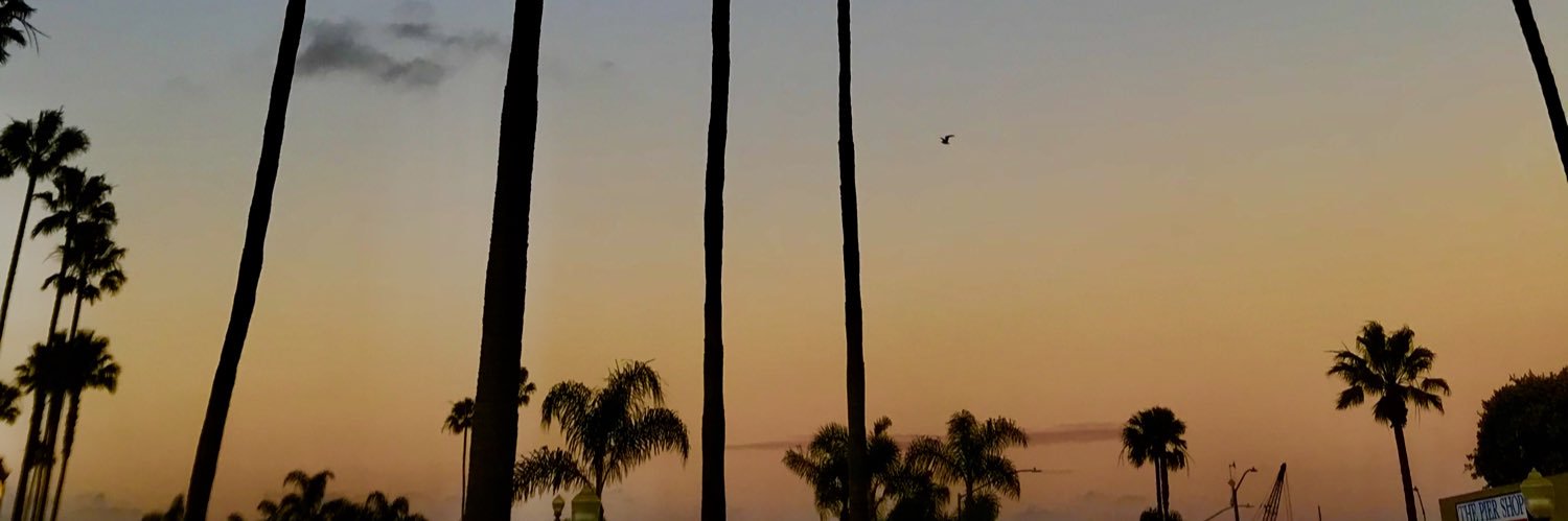amandaschnur1's profile banner image