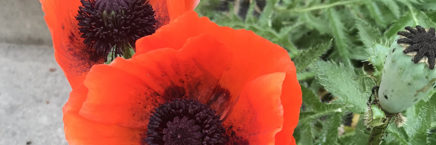 lewhetstone's profile banner image