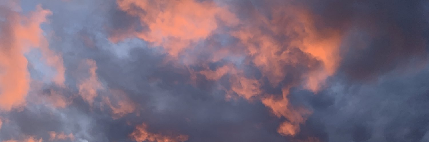 ShannonMaggio's profile banner image
