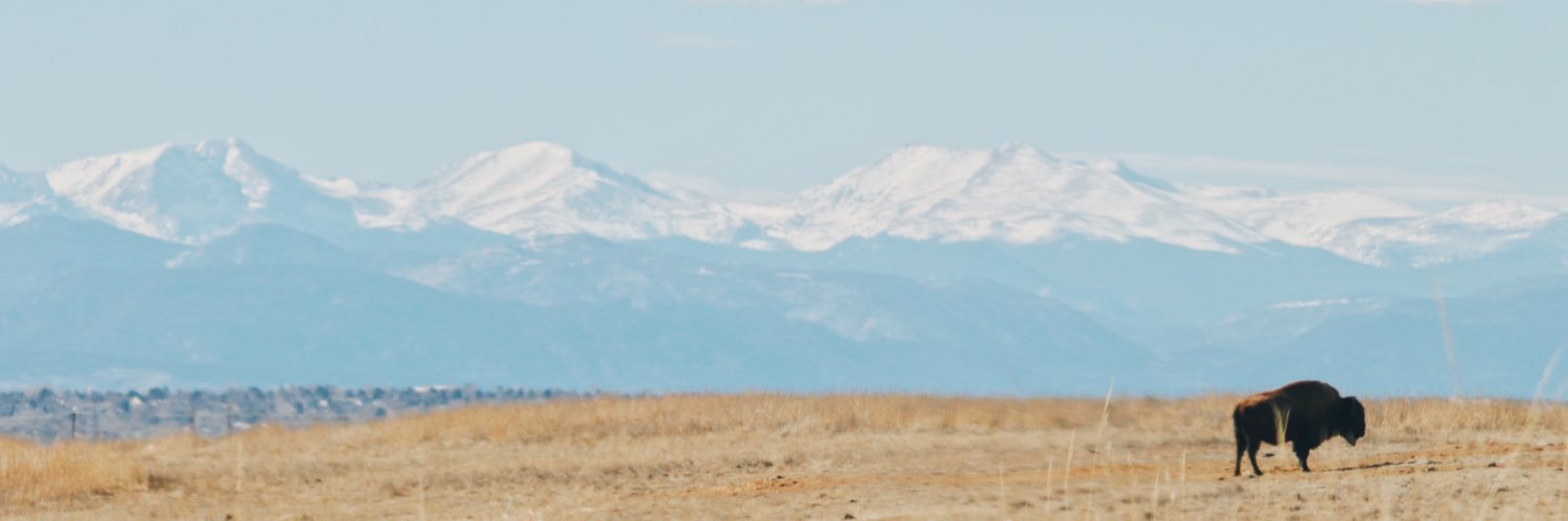 ennaf11's profile banner image