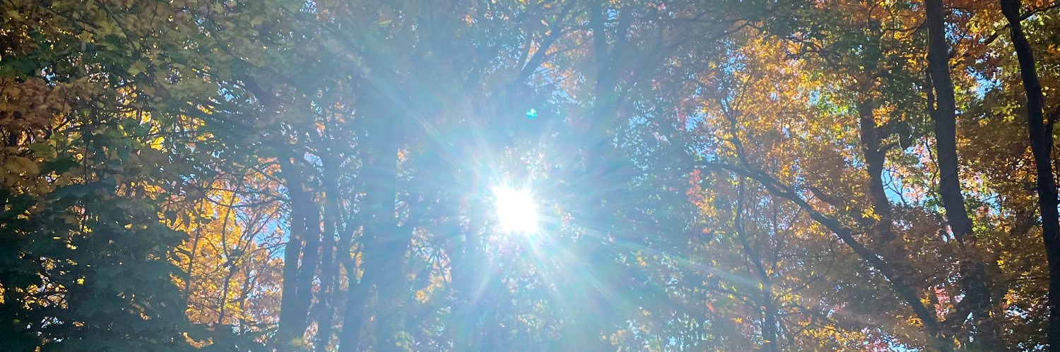 IsabelAtmaxo's profile banner image