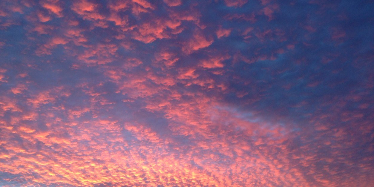 Mon Bonaterra banner