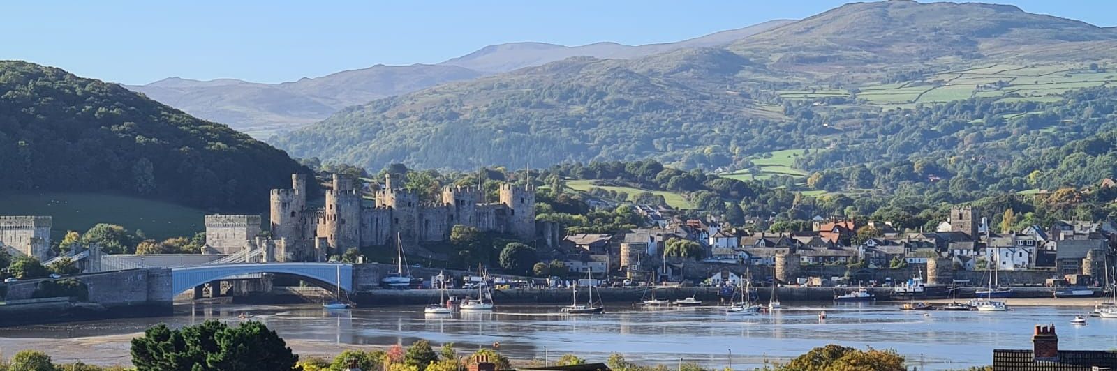 Adrian Johnson banner