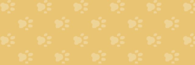 annant_sh's profile banner image