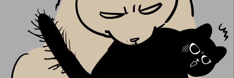 nom_kipipi's profile banner image