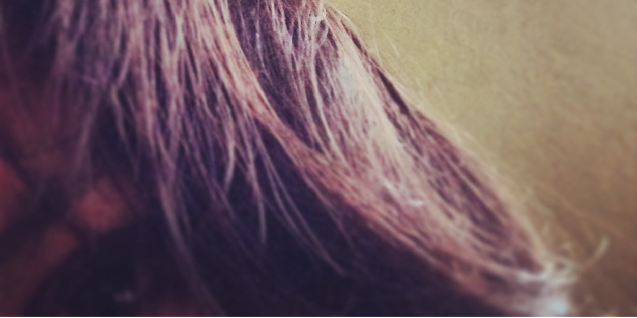 landrevila's profile banner image
