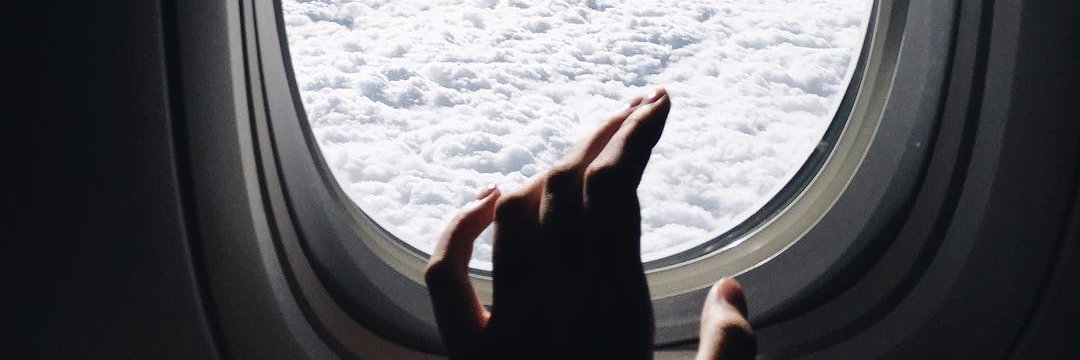 sofiajsn's profile banner image