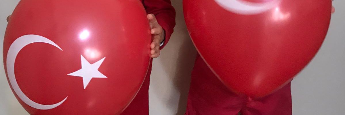 sedausullu's profile banner image