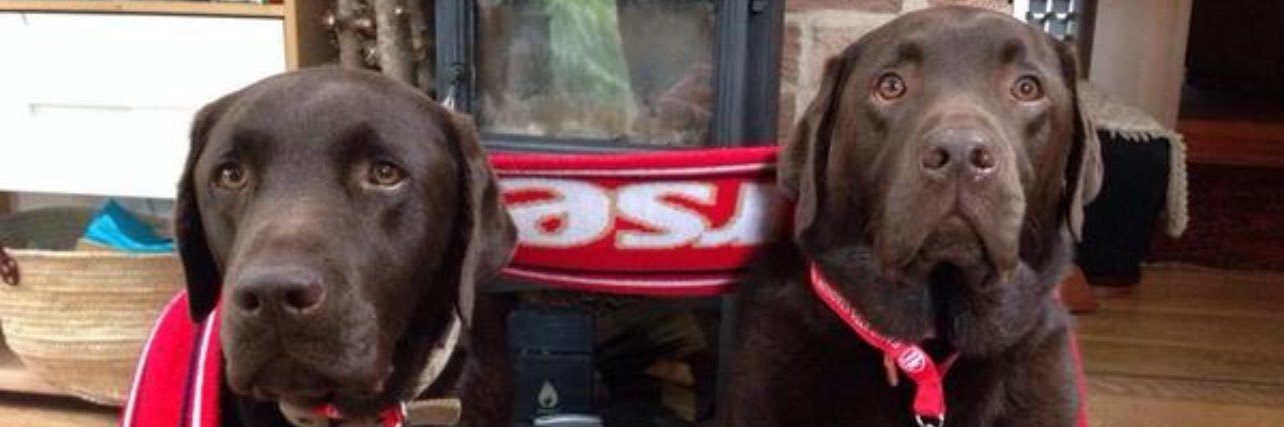 rorybear7's profile banner image
