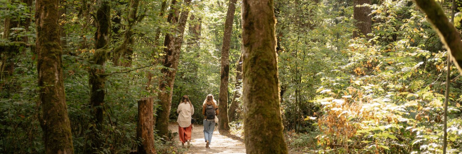 Discover Surrey BC banner