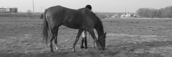 robinkake Profile Banner