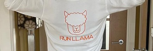JOD Run🦙 https://runllama.co.uk/ banner