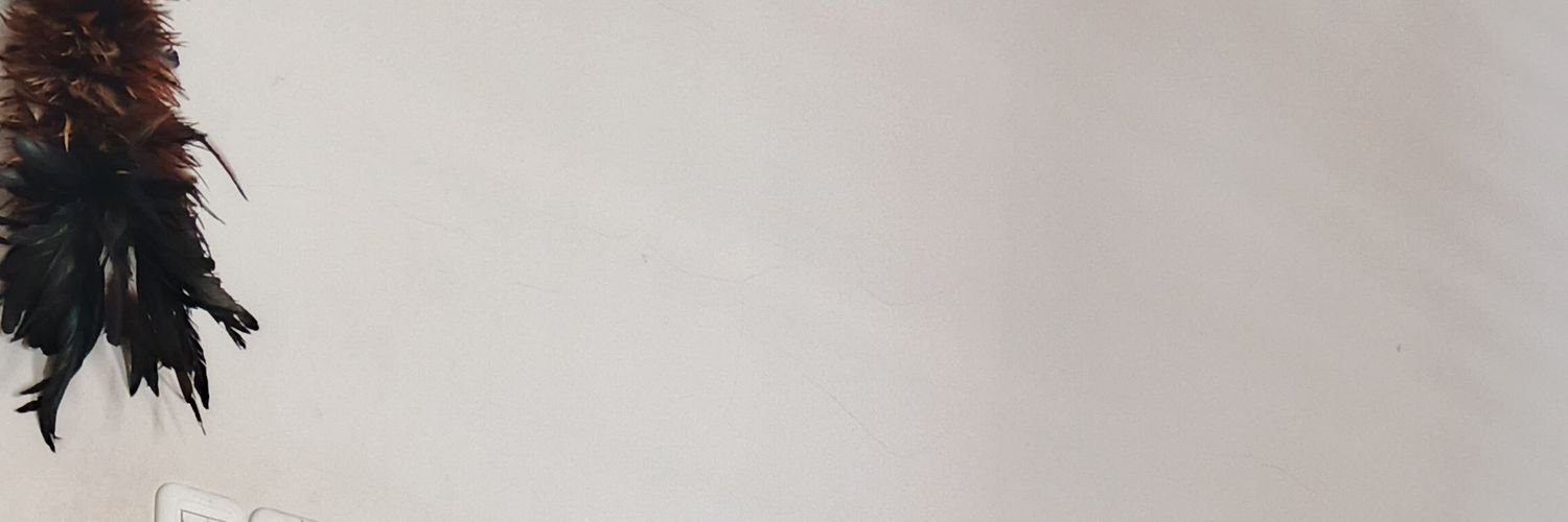 dimdimas017's profile banner image