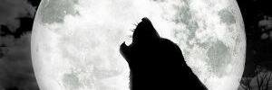 Sandile77's profile banner image