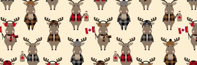 DebraCaughell's profile banner image