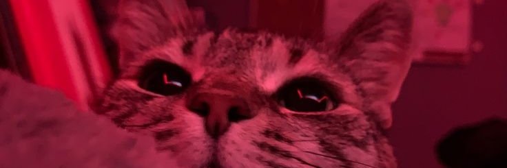 Dayna_x_'s profile banner image