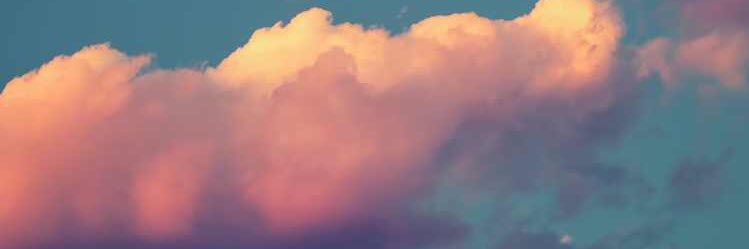 tamaraaharry's profile banner image