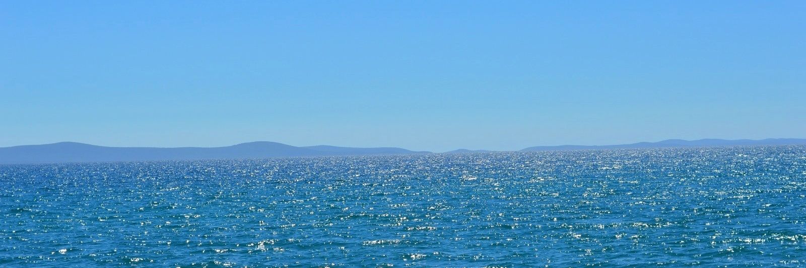 anamarie_com's profile banner image