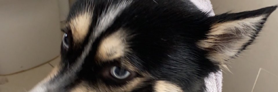SamGibbins95's profile banner image