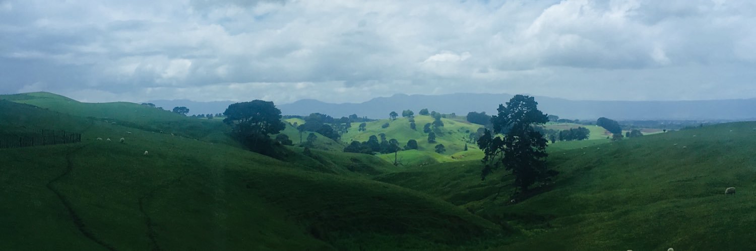 GraceK29's profile banner image