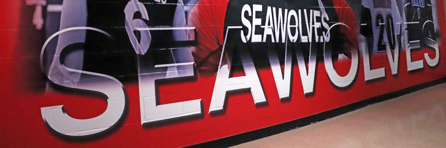 UNBSJ Seawolves banner