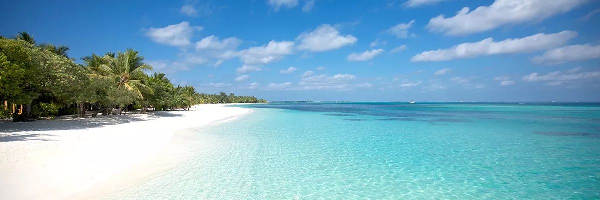 Abu_Misha's profile banner image