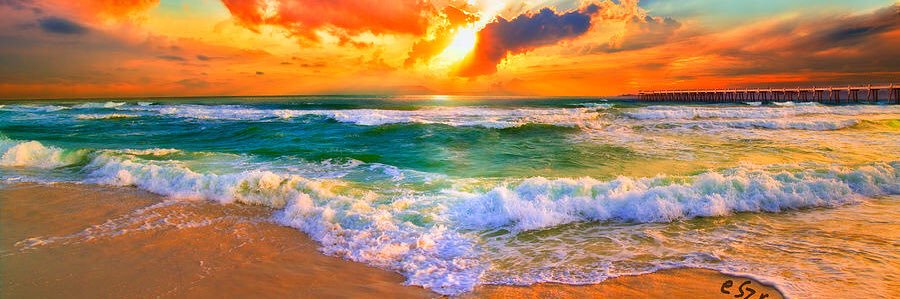 Dawn Florance banner