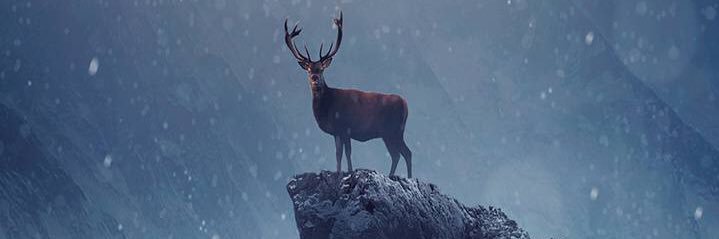 anilkrhn's profile banner image