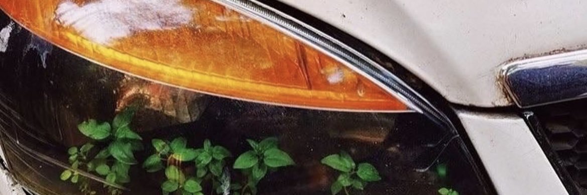 NotFromSwEDEN's profile banner image