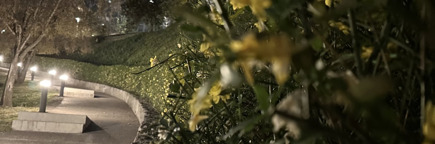 Yermi0's profile banner image