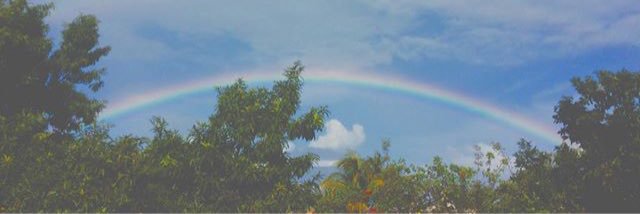 abi_shevlin's profile banner image
