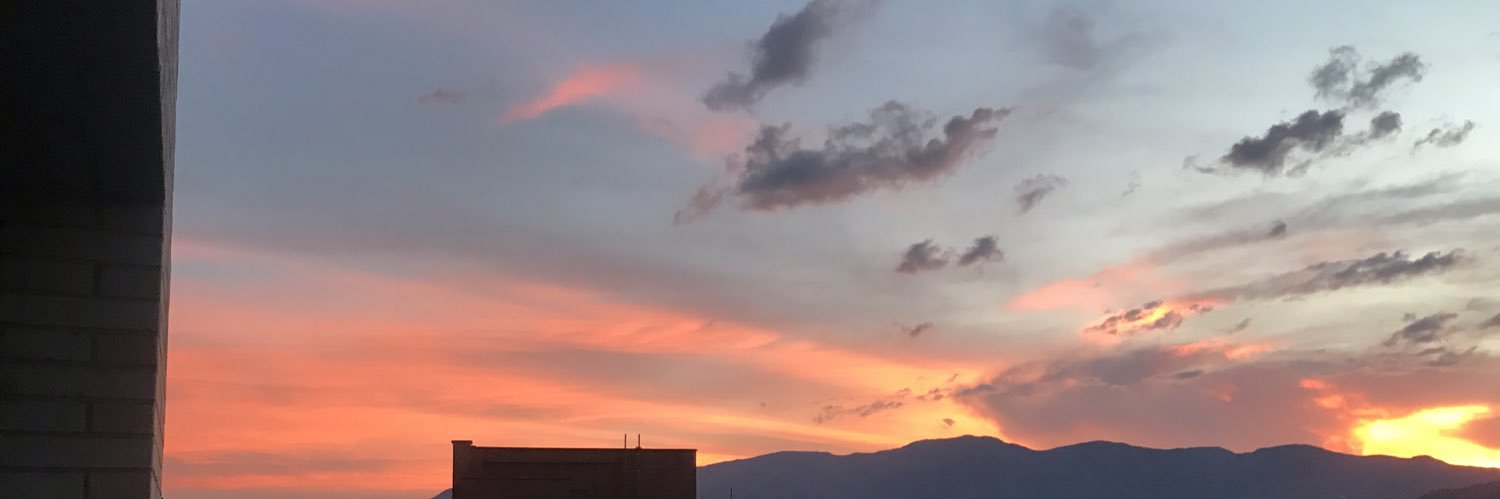 liniscolorado's profile banner image