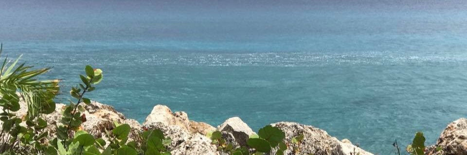 lanas_love's profile banner image