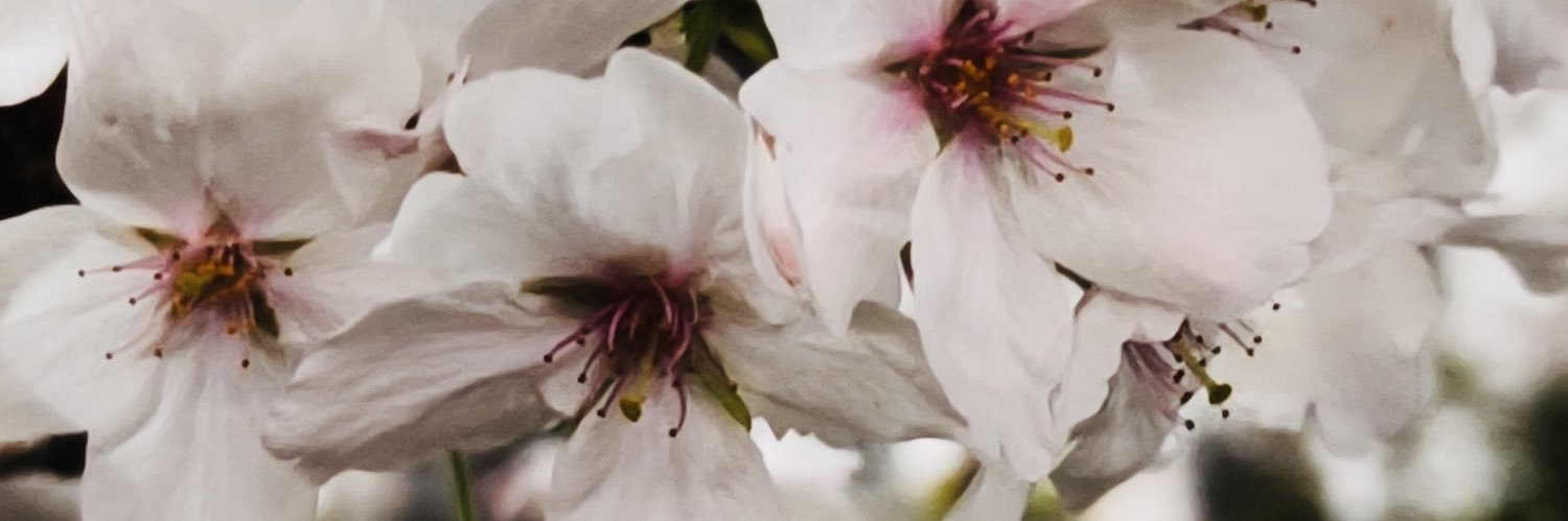 kiroff2's profile banner image