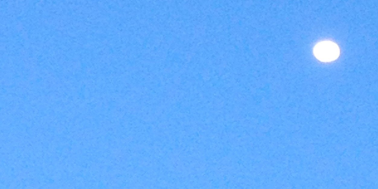 SarmientoMari's profile banner image
