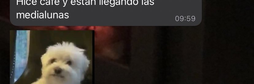 luliianton's profile banner image