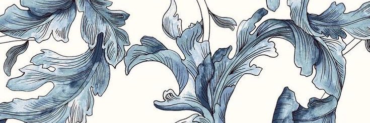 DanielaErazoI's profile banner image