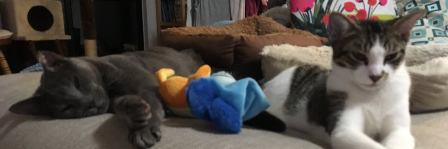 ntweet_'s profile banner image