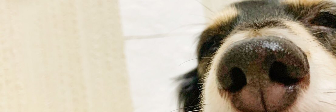 Riho283's profile banner image