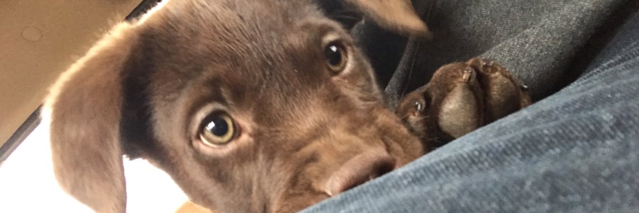 JamesCuff72's profile banner image