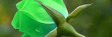 mohmohmoh25's profile banner image