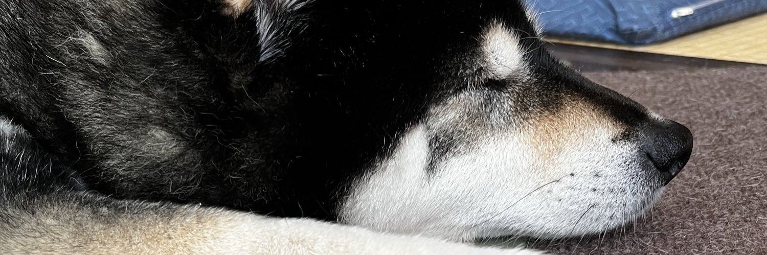 紗月のさっちゃんねる banner