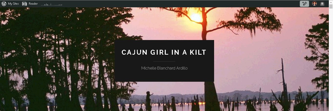 michardillo's profile banner image