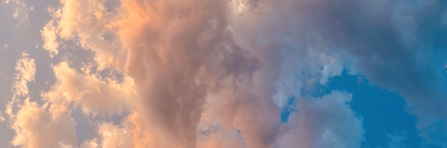 vvolfae's profile banner image