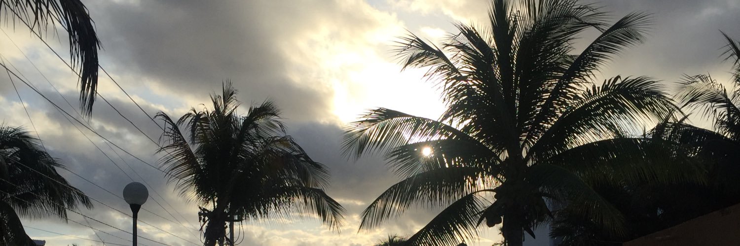 Thomas Bech🛡️ banner