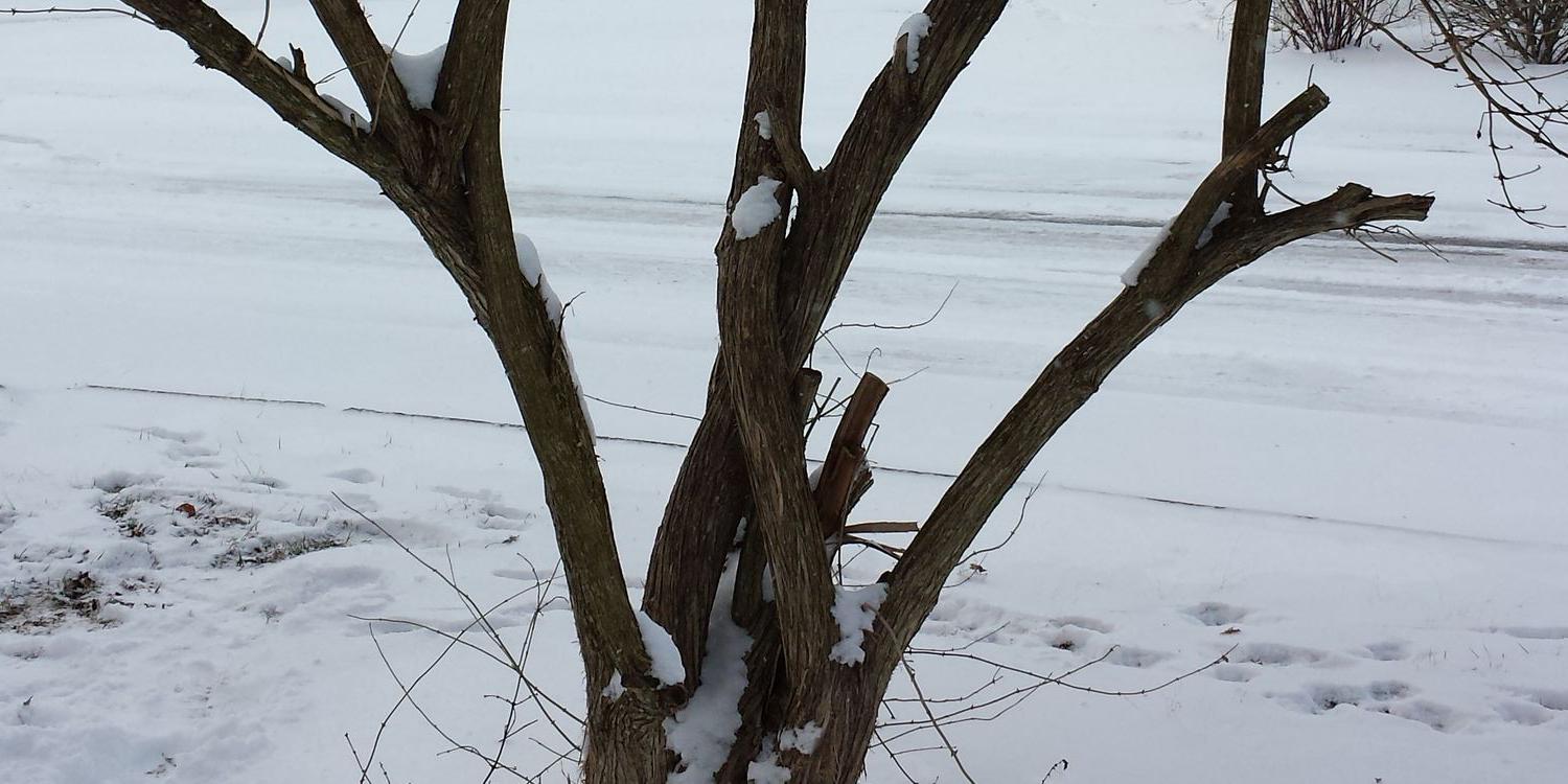 ThatGuyRyan13's profile banner image