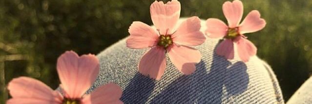 niqueoliveeiraa's profile banner image