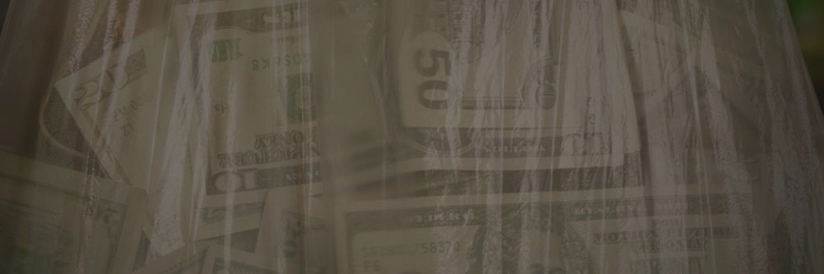 MollyTurnt's profile banner image