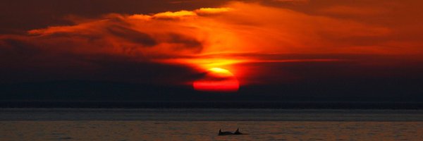 VisitTywyn Profile Banner